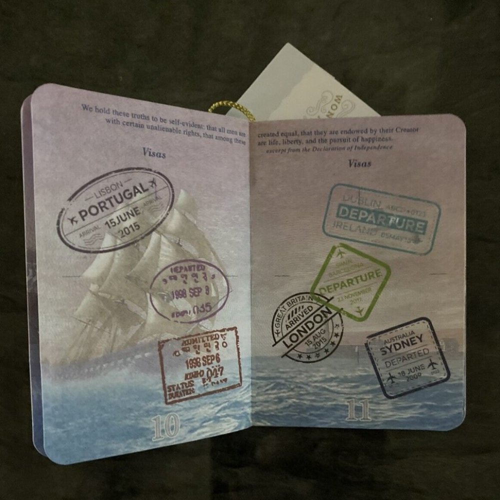 USA SANTA Passport Christmas Ornament ~ Realistic * World Travel ~ Wondershop - Picture 5 of 8